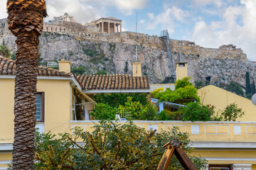 A long haired black and white sits on a rooftop terrace of a home under the Parthenon and Acropolis...