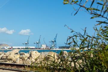 The seashore through the bushes, a commercial port and port cranes on the horizon. Summer Mediterranean Sea