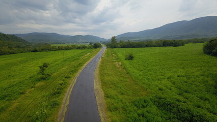 Fototapeta na wymiar beautiful mountain road in green landscape in northwest Argentin