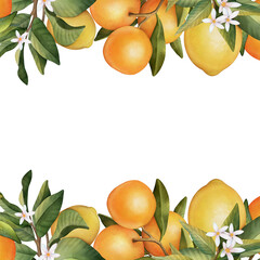 Hand drawn frame of watercolor orange and lemon.Watercolor illustration wreath of lemon and leaves. 