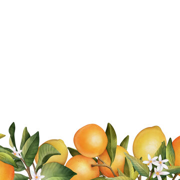 Hand drawn frame of watercolor orange and lemon.Watercolor illustration wreath of lemon and leaves. 