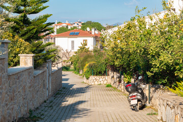 Street in Datça Turkey. White houses and green trees. 
There is a parked motorcycle. Touristic place.