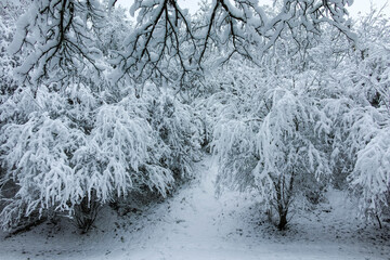 Winter view of South Park in city of Sofia, Bulgaria