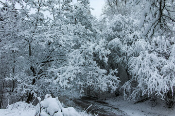 Winter view of South Park in city of Sofia, Bulgaria