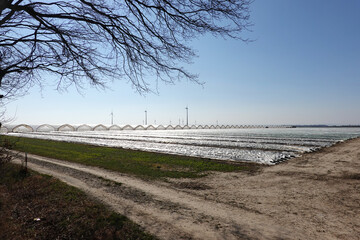 landwirtschaftlicher Gemüseanbau unter Plastikfolie