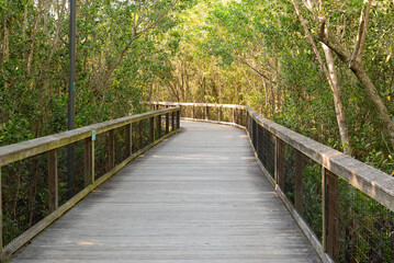 Fototapeta na wymiar Gordon River Greenway Boardwalk Naples Florida