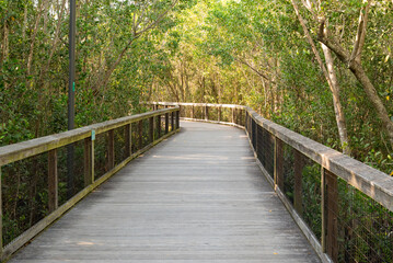 Obraz premium Gordon River Greenway Boardwalk Naples Florida