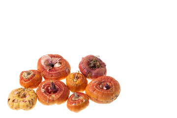 Close up view of gladiolus bulbs isolated on white background.
