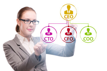 Businesswoman in the organisation chart concept