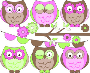 Owls Pink Brown