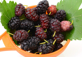 Blackberry, isolated on white background