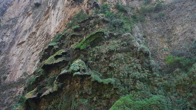 Firtree Waterfall at Sumidero Canyon in Mexico