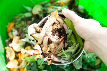 野菜の皮をコンポスターに入れる