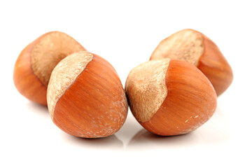 hazelnuts isolated on white background