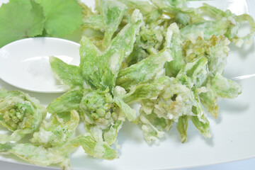 日本食、フキノトウの天ぷら