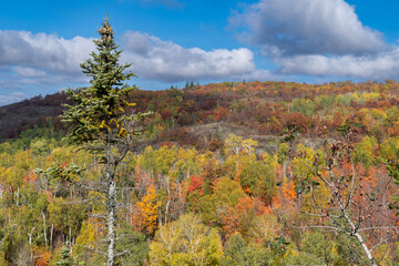View of autumn colors in the Superior National Forest