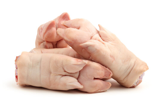fresh pig trotter on white background 