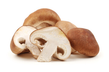 Shiitake mushroom on the White background 