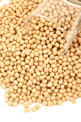 soybean isolated on white background