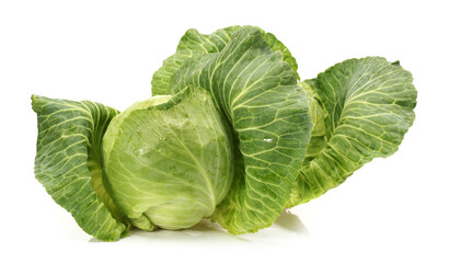 Obraz premium cabbage isolated on white background