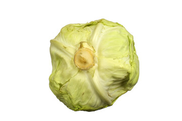 Fototapeta premium cabbage isolated on white background