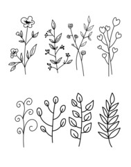 Floral Line Art Collection – Hand Drawn Botanical Elements