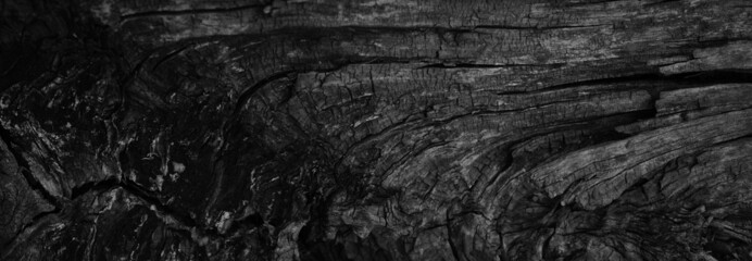 Black white wood texture. Old cracked wooden surface. Close-up. Dark gray grunge background for design. Web banner.