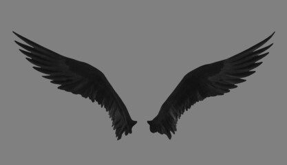 Black wings isolated on grey background