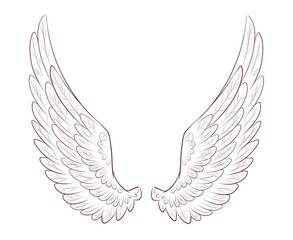 Wings contour, coloring on a white background