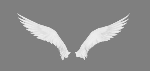White wings isolated on grey background 