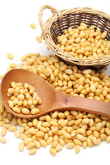 soybean isolated on white background