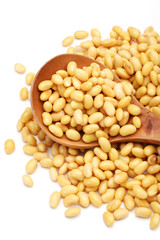 soybean isolated on white background