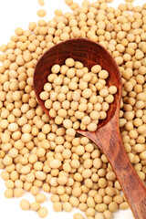 gold soybean 