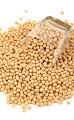Fototapeta premium gold soybean 