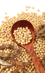 gold soybean 