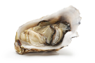 Fresh opened oyster on white background