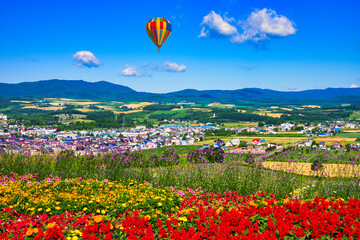 富良野の美しいラベンダー畑
