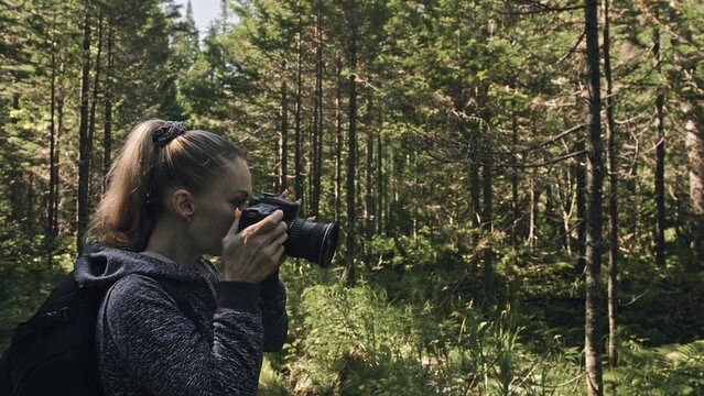 Traveler photographing scenic view in forest. One caucasian woman shooting nice magic look. Girl take photo video on dslr mirrorless camera. Professional photographer travel with backpack. Outdoor.