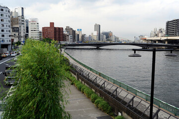 Obraz premium 隅田川の風景