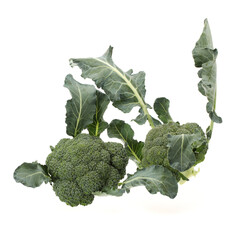 Broccoli vegetable on white background 