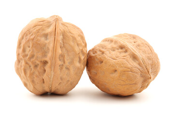 walnuts on a white background