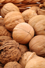 walnuts on a white background