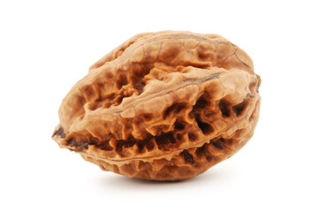 walnut on a white background 