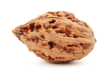walnut on a white background 