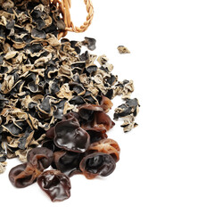 black fungus on white background