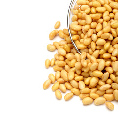 soybean isolated on white background