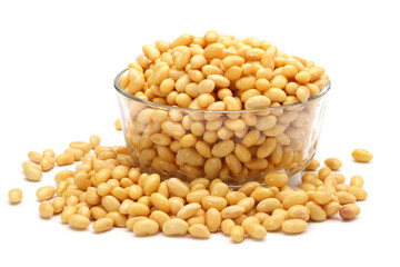 soybean isolated on white background
