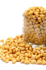 soybean isolated on white background