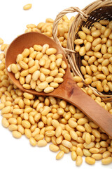 soybean isolated on white background