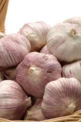 fresh garlic isolated on white background 